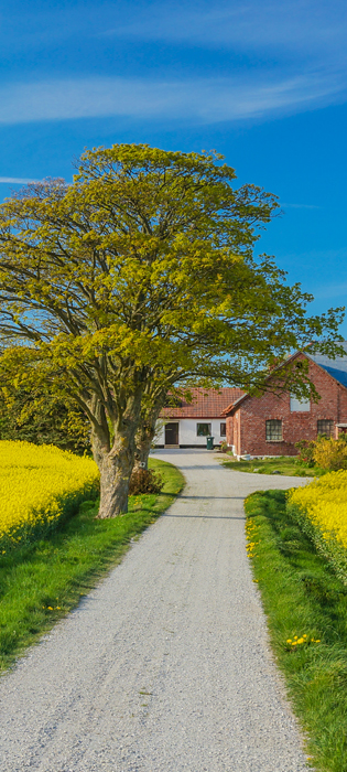 Swedish Countryside | BORGA