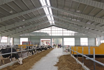 Agricultural buildings, cowsheds, machine halls made of steel | BORGA