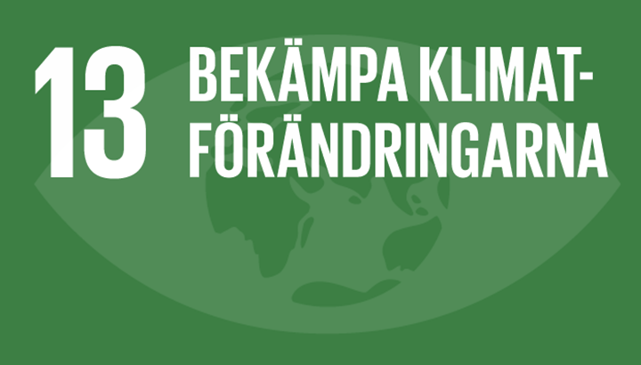 FN Mål 13: bekämpa klimatförändringarna | BORGA